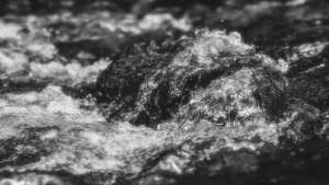 Wasserschaden an der Decke beheben – Wasserschaden an der Decke beheben – Ursachen finden, trocknen und Schäden richtig reparieren