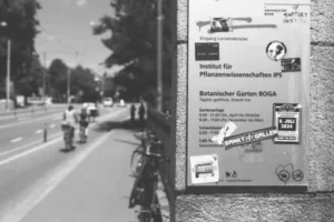 Welche WPC-Dielen sind die besten? WPC-Dielen im Vergleich – worauf es bei Qualität, Haltbarkeit und Auswahl ankommt