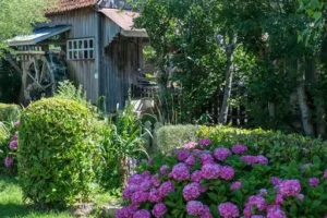 Wie groß darf ein Gartenhaus sein? Welche Größen, Abstände und baurechtlichen Vorgaben zu beachten sind