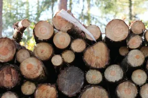 Wie schwer ist ein Schüttraummeter Holz? Gewicht verschiedener Holzarten und Einfluss von Feuchtigkeit und Scheitgröße