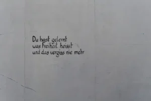 Wie sieht Mäusekot aus? Woran man Mäusekot erkennt, wie er sich von anderem Tierkot unterscheidet und was bei einem Fund zu tun ist